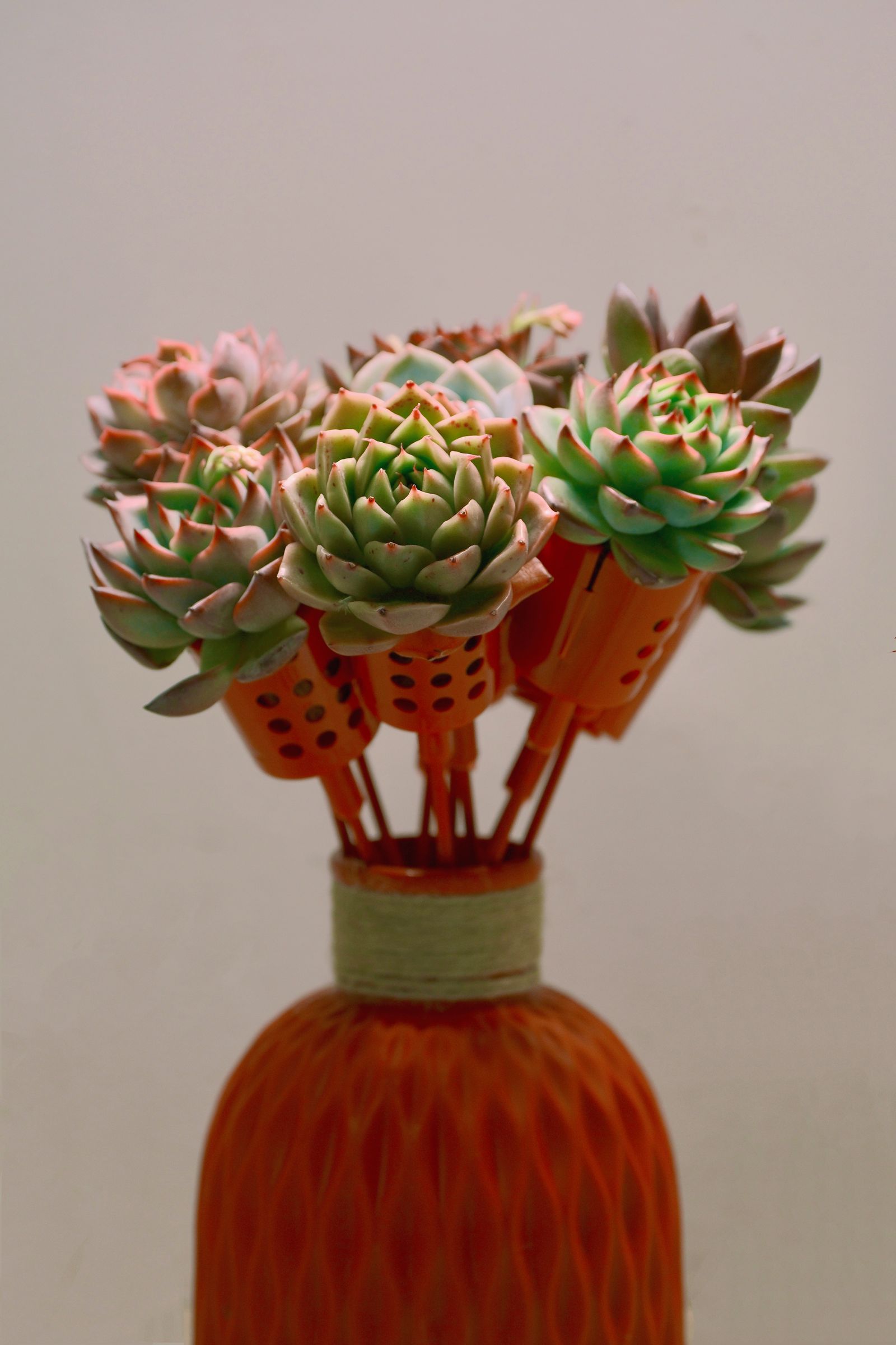 Vaso impresso em 3D com suculentas